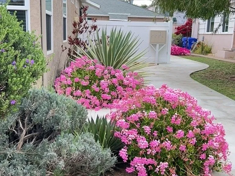 4832 Pescadero Ave — Photo 3