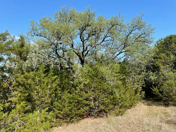 1865 STALLION SPRINGS DR LOT 238, Fischer, TX 78623