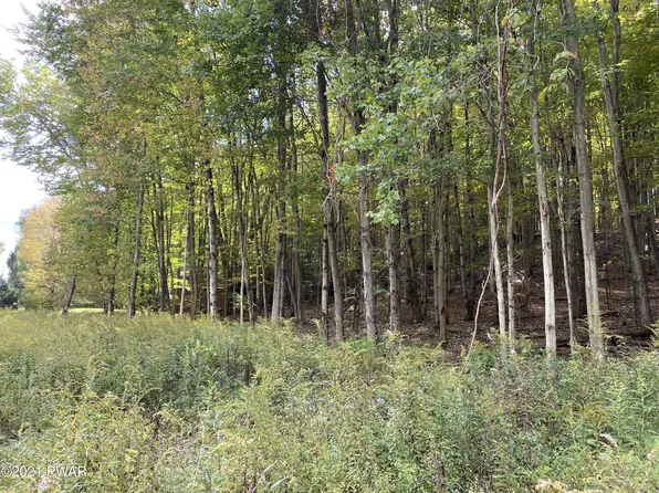Creek Dr, Prompton, PA 18456