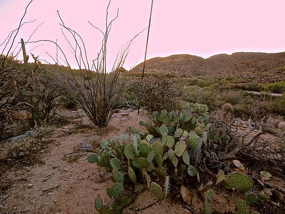 5th image of 14574 N Dove Canyon Pass
