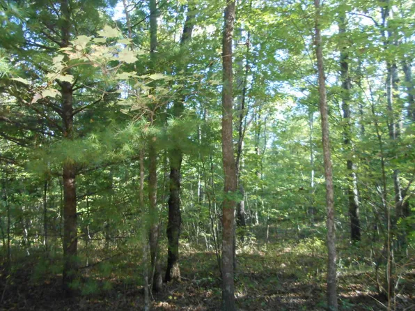 Crooked Branch Rd, Jamestown, TN 38556