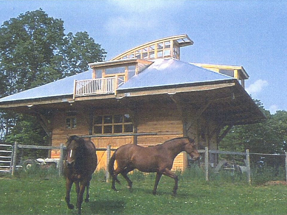 Waterfront 11 Acre Homestead