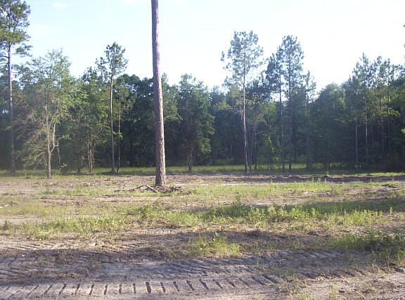 3rd image of 119 Shadow Lake Dr