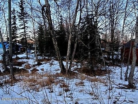 2nd image of 3130 N Arctic Fox Dr