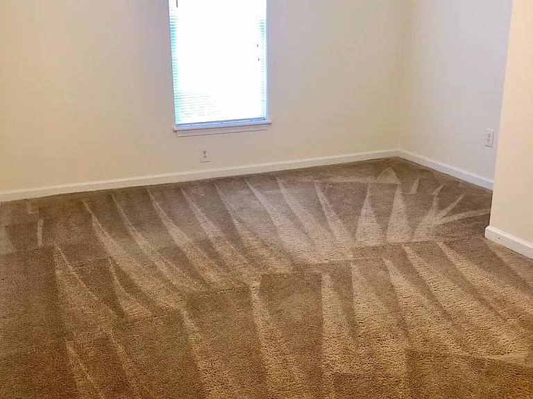 100 Water Oak Ln — Photo 15