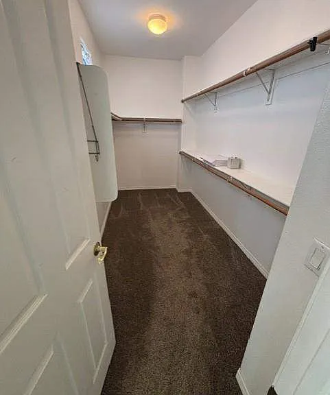 376 Town Forest Ct — Photo 20