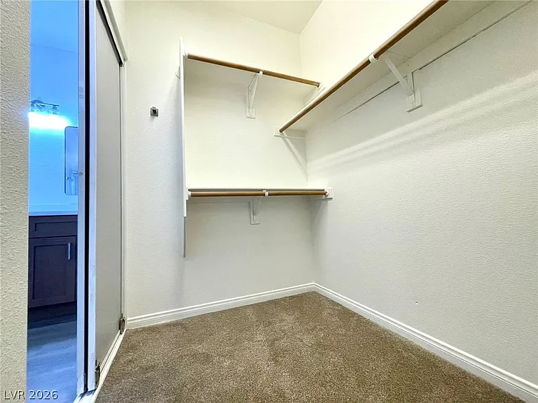 10546 Big Mill Ct — Photo 28