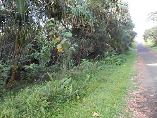 1st image of Wehelauniu St Lot 179