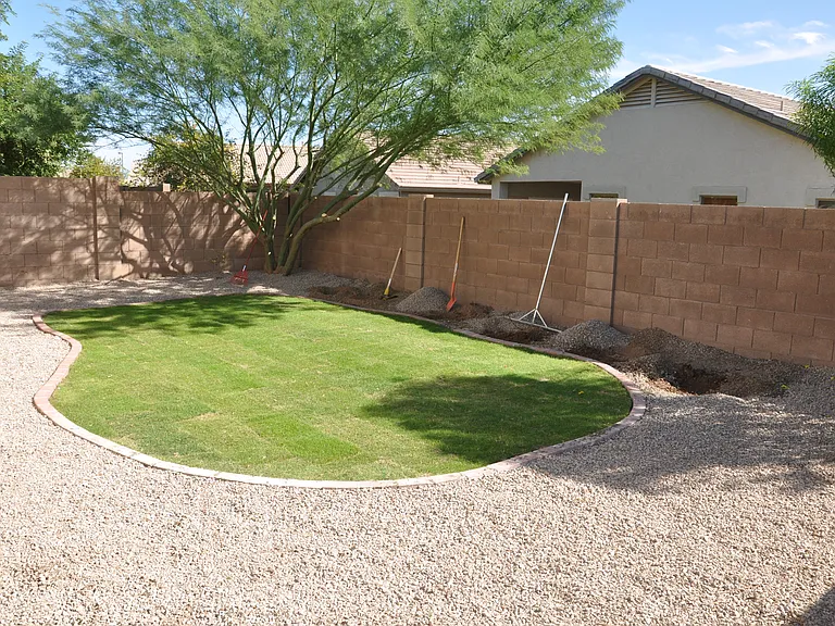 Backyard