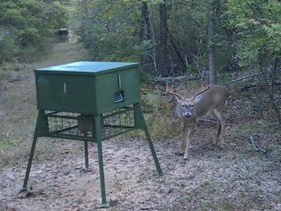 623 Batesville Mountain Rd, Damascus, AR, 72039