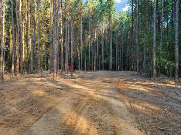 17 & 18 Highway 449, Pine Grove, LA 70453