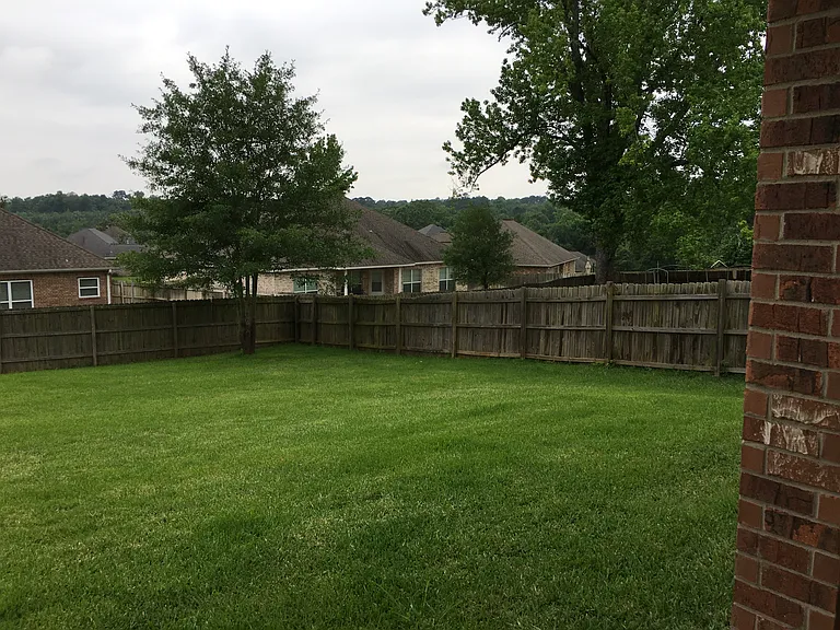 Backyard Right