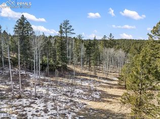 LOT-20A Echo Lake Dr, Lake George, CO 80827