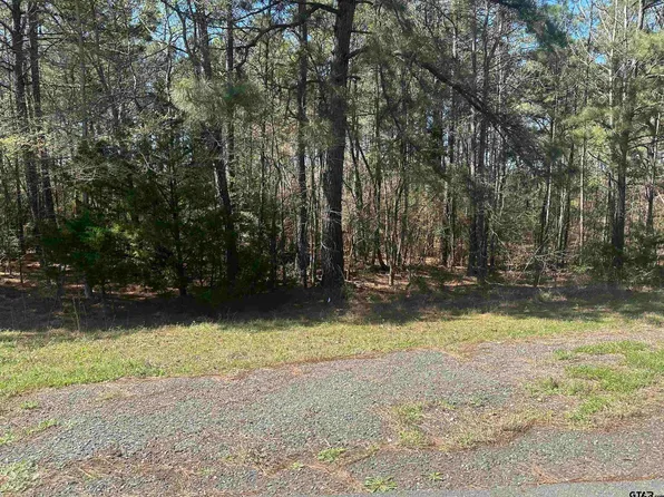 411 Cherokee Cove Dr, Jacksonville, TX 75766