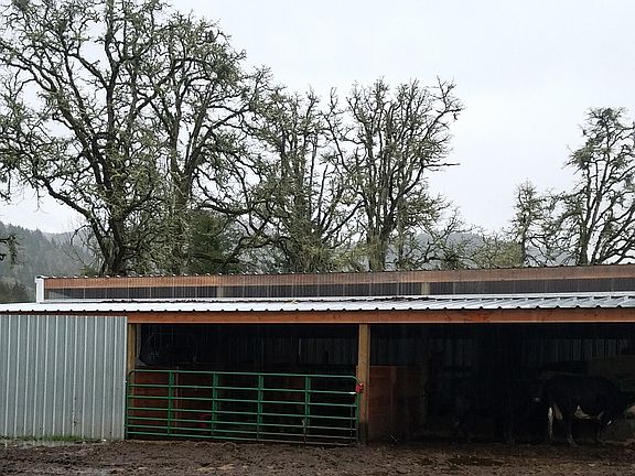5th image of 82082 Hillview Dr