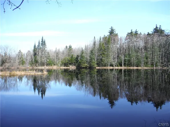 0 Duppert Rd #7, Constableville, NY 13325