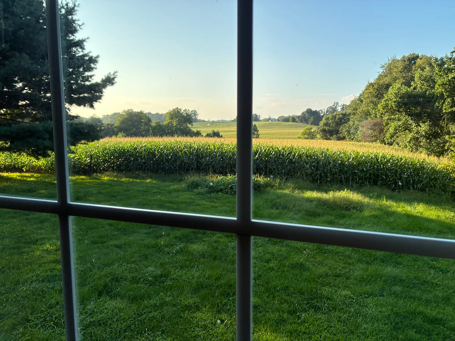 2 bed, 1200 sqft, $2,500 — Photo 3