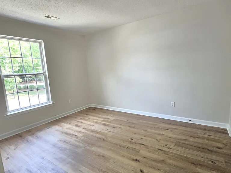 3902 Elizabeth Glen Way — Photo 13