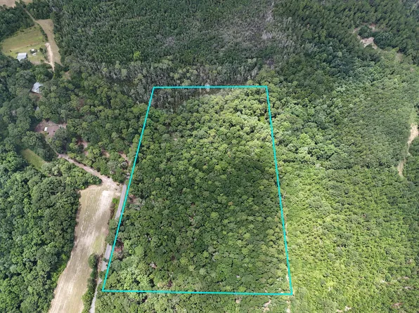 0 Hayes Rd Parcel A, Defuniak Springs, FL 32433