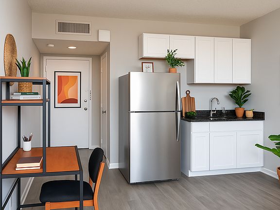 Studio Apartment Kitchenette