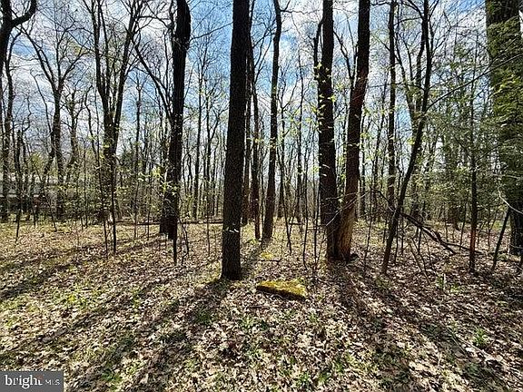 3rd image of 13 Timberman Rd