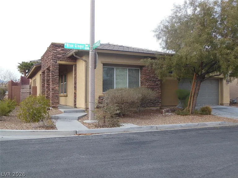 10390 Blue Ginger Dr — Photo 2
