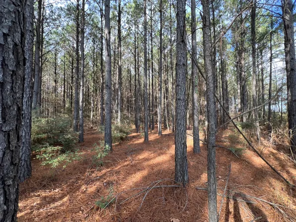 0 Sneed Rd, Florien, LA 71429