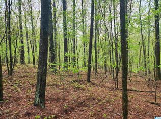 0 County Road 111 #1, Goodwater, AL 35072