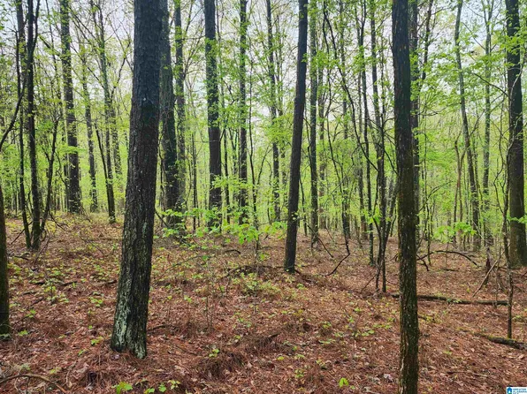 0 County Road 111 #1, Goodwater, AL 35072