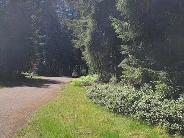 10308 106th Avenue Ct, Anderson Island, WA 98303