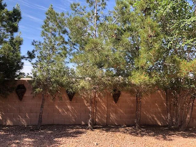 7000 Desert Clover Ct — Photo 14