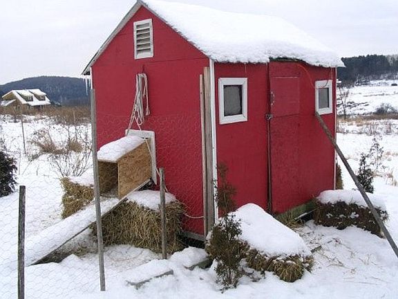 chicken coop