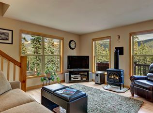 203 Ridge Rd, Alma, CO 80420