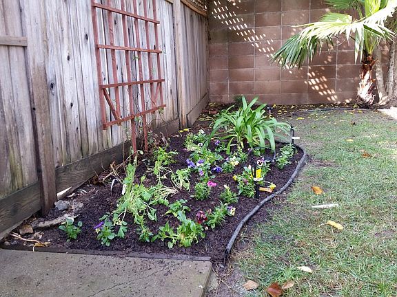 Unit A's private yard, spring flowers