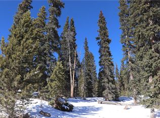 3295 Nugget Rd, Fairplay, CO 80440