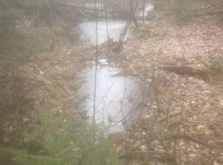 Twin Peaks Rd, Frederic, MI 49733