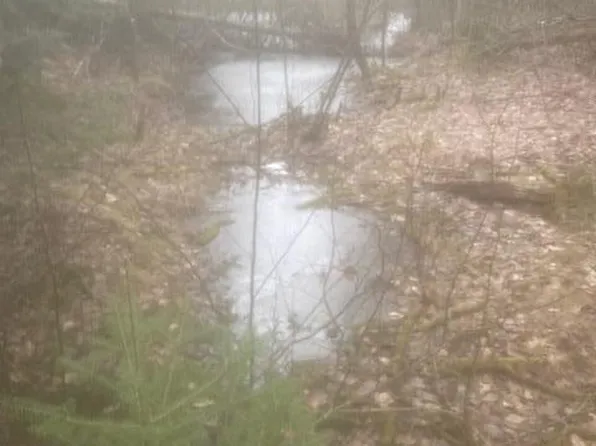 Twin Peaks Rd, Frederic, MI 49733