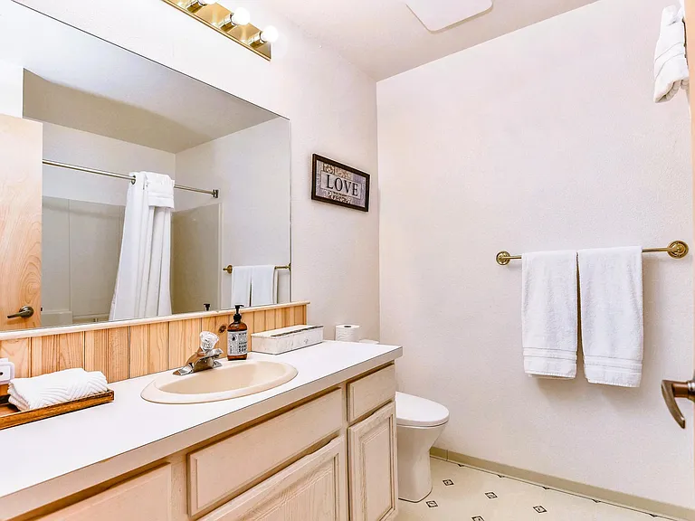 Guest suite 2 bathroom