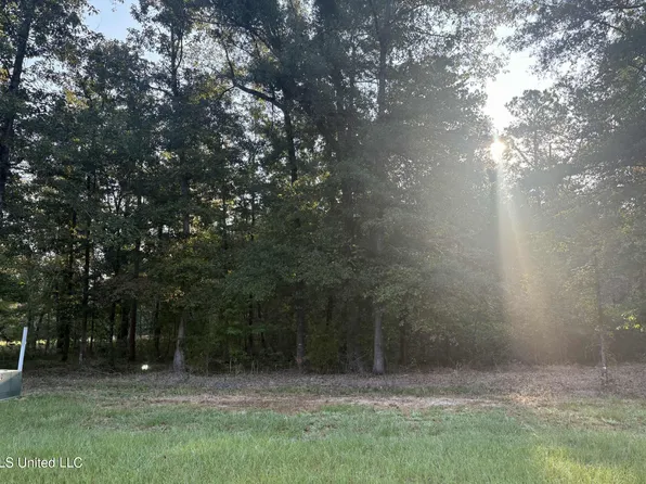 0 Shire Ave Lot 30, Forest, MS 39074
