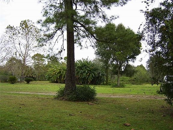 Front yard looking East
