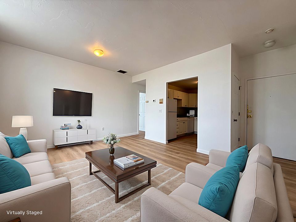 Living Room (Virtually Staged)