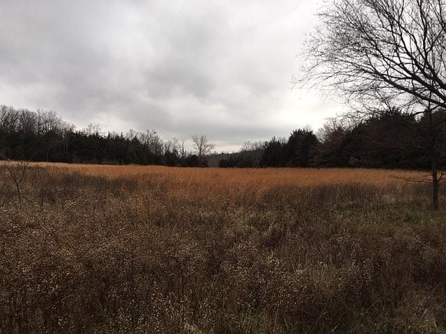 2nd image of 7404 Highway 392 W