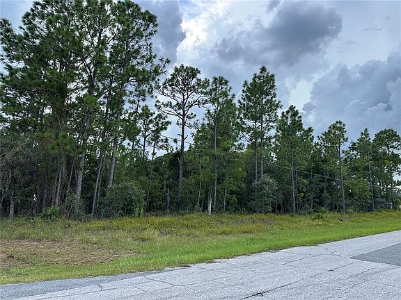 5th image of 5212 N PEPPERMINT DRIVE LOT 1