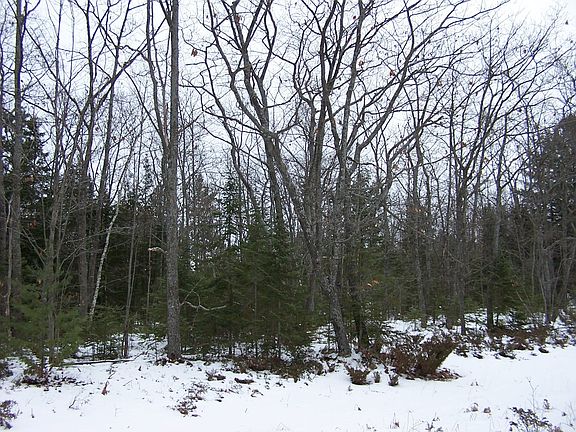 2nd image of N U S 23 Hwy