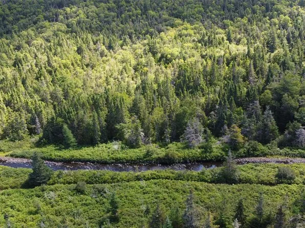 331-339 North River, North River, NL A0A3G0