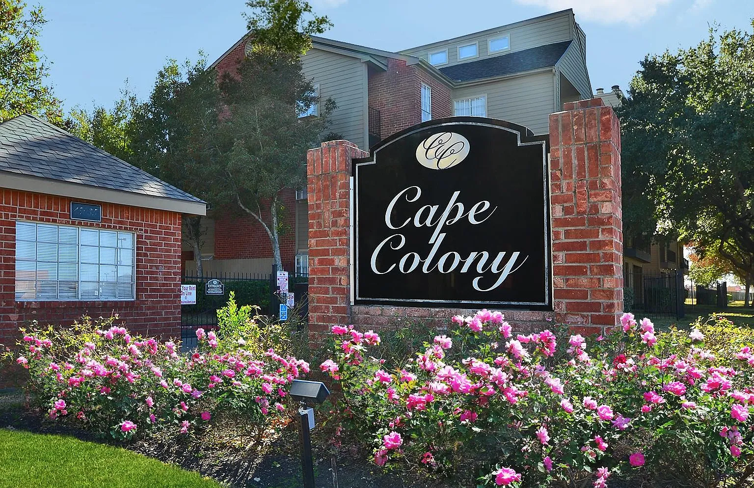 Cape Colony — Photo 1