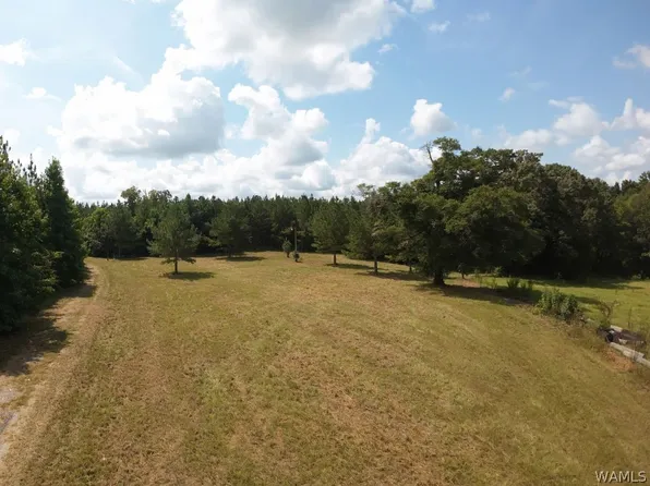0 Gary Nichols Dr, Marion, AL 36756