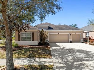 11202 Wembley Landing Dr, Lithia, FL 33547