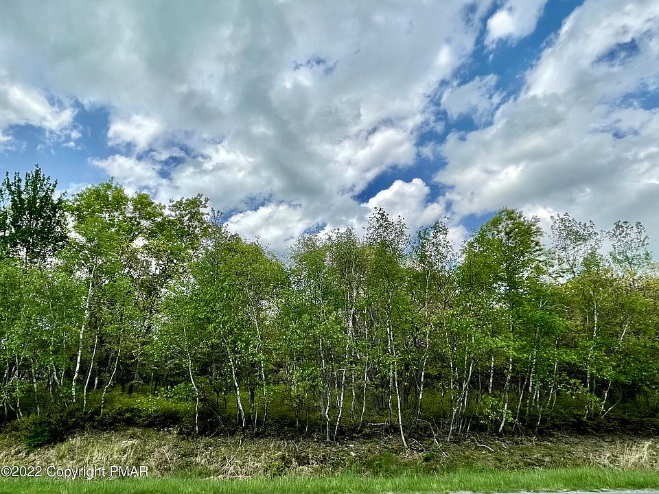 2nd image of 55A Patten Cir