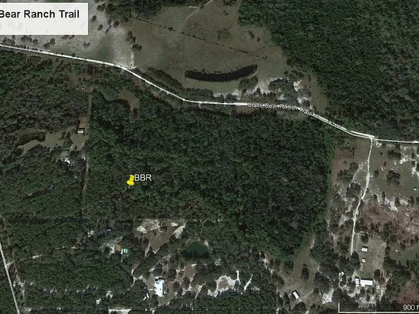 1255 Black Bear Ranch Trl, Pierson, FL 32180